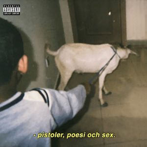 PENGAR POESI OCH SEX