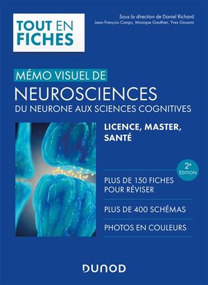 Mémo visuel de neurosciences : du neurone aux sciences cognitives