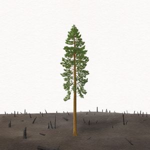 The Tree That Remained Standing (EP)