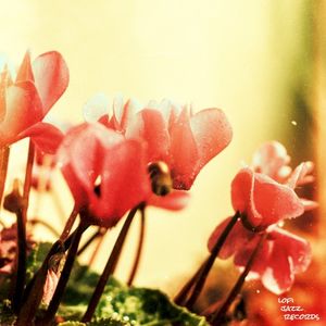 Finding You (Single)