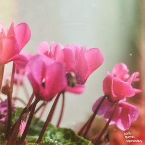 Finding You