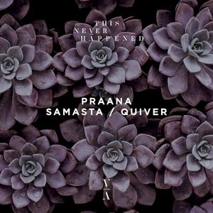 Samasta / Quiver (Single)