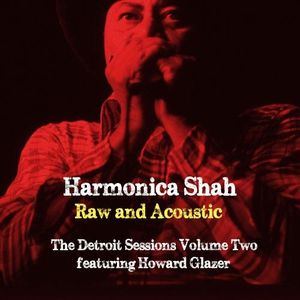 Raw And Acoustic - The Detroit Sessions Vol. Two