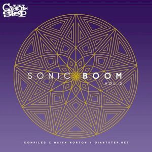 Sonic Boom Vol. 2