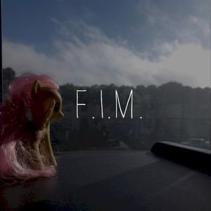 F.I.M. (Single)