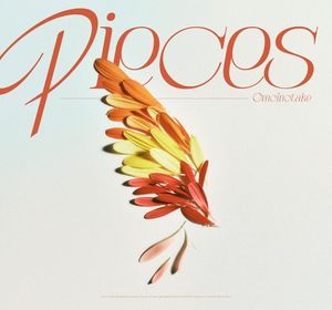 Pieces