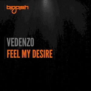 Feel My Desire (Single)