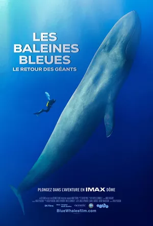 Les Baleines bleues - Le retour des géants