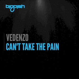 Can’t Take the Pain (Single)