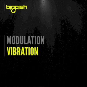 Vibration (Single)