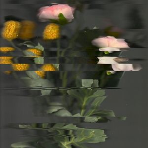 bloom (Single)