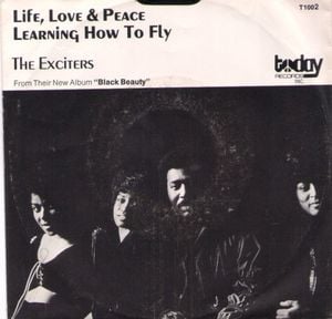 Life, Love and Peace / Learning How to Fly (Single)