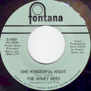 One Wonderful Night / She Don't Deserve You (Single)