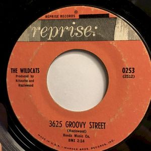 3625 Groovy Street / What Are We Gonna Do in '64? (Single)