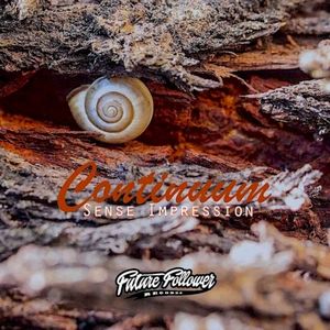 Continuum (EP)