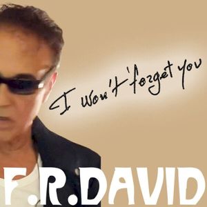 I Won't Forget You (Single)