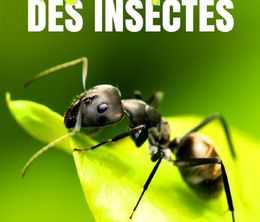 image-https://media.senscritique.com/media/000022610255/0/la_grande_parade_des_insectes.jpg