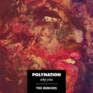 Why You (The Remixes)