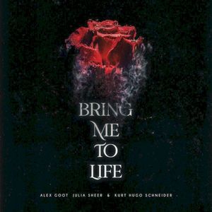 Bring Me To Life (Acoustic) (Single)