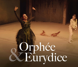 image-https://media.senscritique.com/media/000022612299/0/orphee_eurydice.png