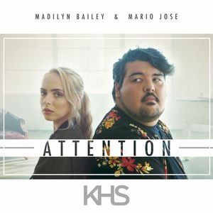 Attention (Single)