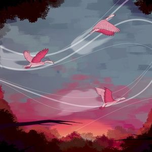Migration (Single)