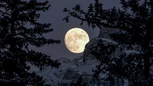 Winter Moon