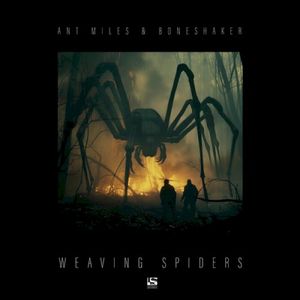 Weaving Spiders