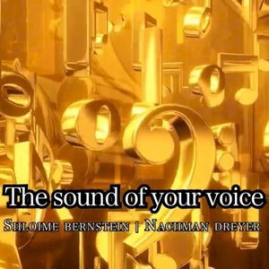 The Sound of Your Voice (Single)