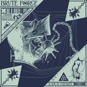 BRUTE FORCE