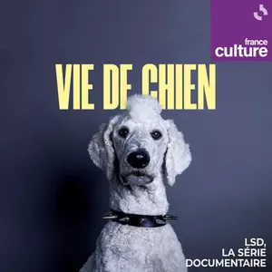 Vie de chien