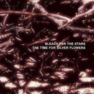 The Time For Silver Flowers