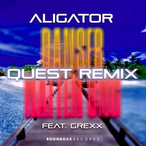 Danser Natten Ung (Quest Remix)