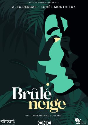 Brûlé neige