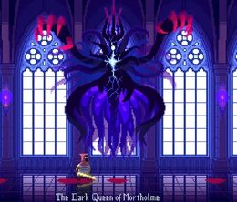image-https://media.senscritique.com/media/000022621268/0/the_dark_queen_of_mortholme.jpg