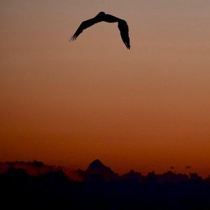 Amor verdadero (Single)