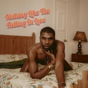 Nothing Like The Falling In Love (Single)