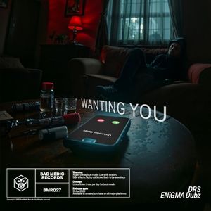 Wanting You (Single)