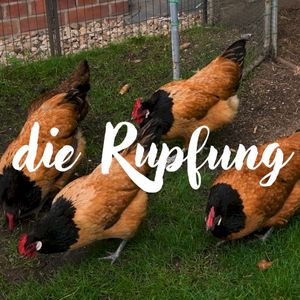 Die Rupfung (Single)