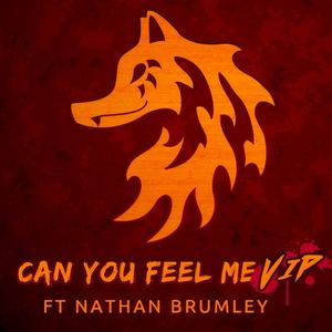 Can You Feel Me [VIP] (Single)