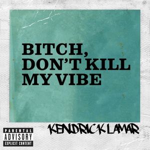 Bitch, Don’t Kill My Vibe