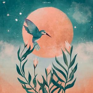 Trying (Single)