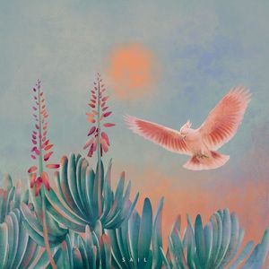 Sail (Single)