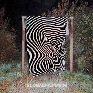 slowdown (EP)