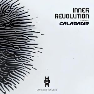 Inner Revolution