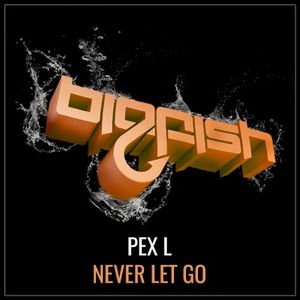 Never Let Go (Single)