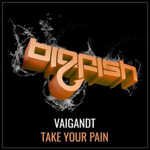 Take Your Pain (Single)