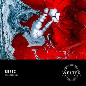 WELTER255 (Single)