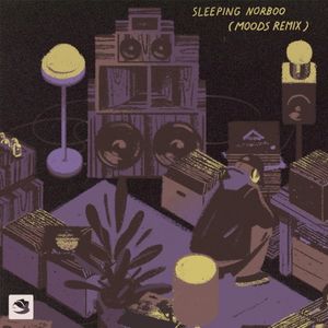 Sleeping Norboo (Moods remix) (Single)