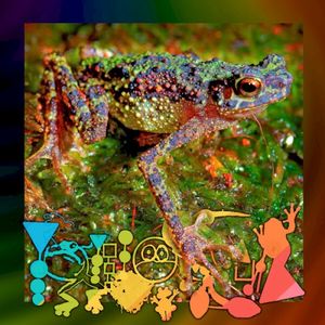 Millicent, the Toad Who Felt Different